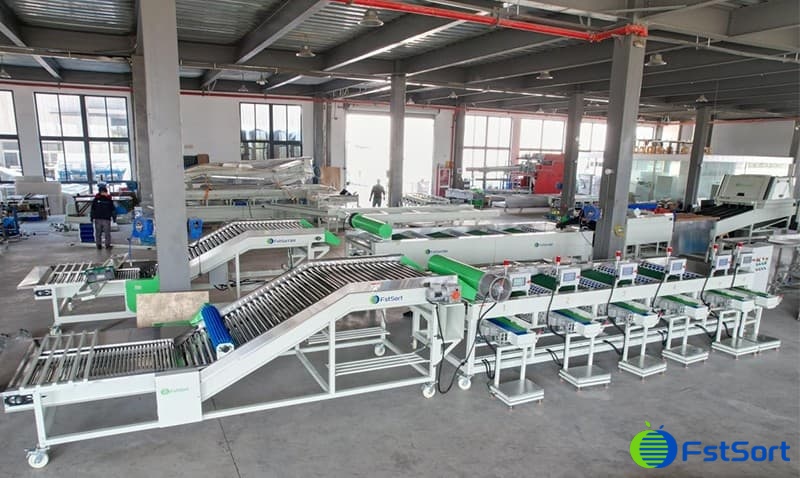 images/1735632142737clasificadora de ajo.jpg